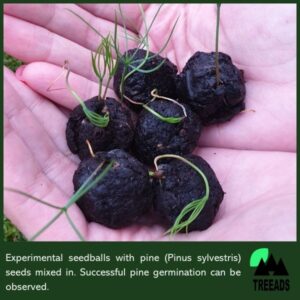 Bio-material for post-fire bio-remediation and re-vegetation trails